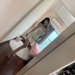 Kl Escort