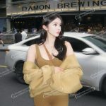 Subang Escort